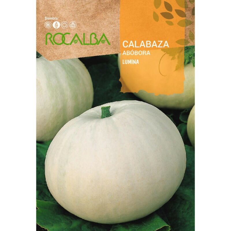 Rocalba - Seed Lumina 500G Pumpkin