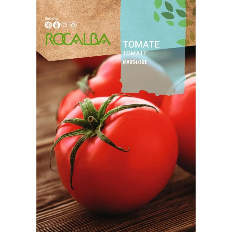 Seed Marglobe 500g Tomate - Rocalba