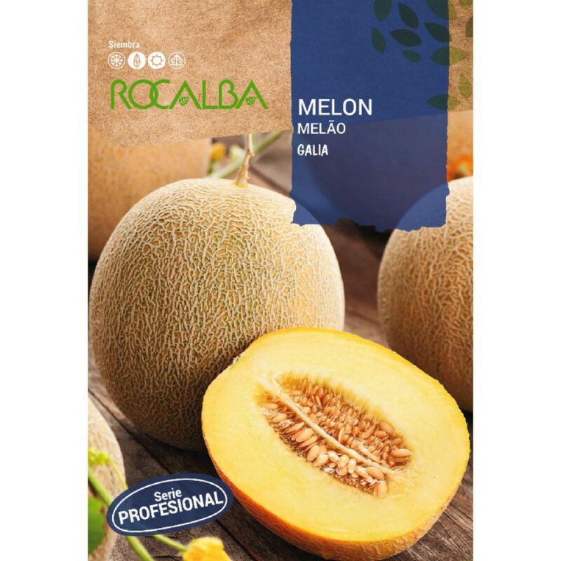 Rocalba - Seed Melon Gaul F-1 25G, Pack 5x