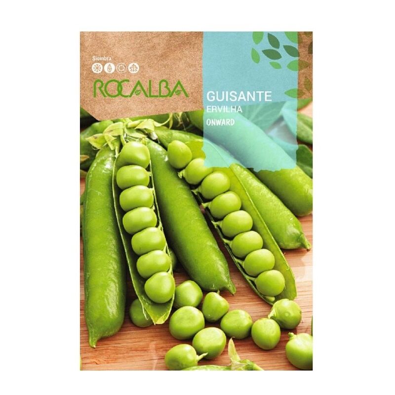 Seed Peas vers 250gr - Rocalba