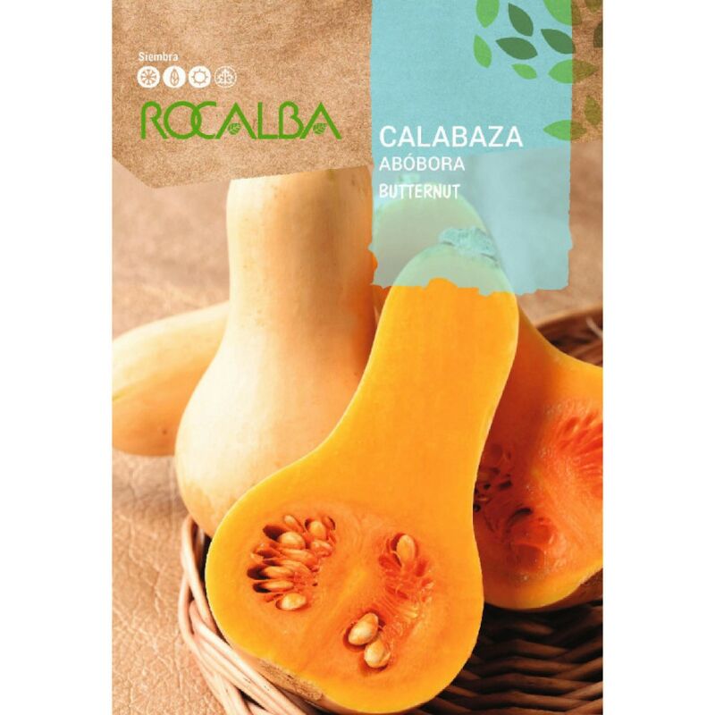 Rocalba - Seed Pumpkin Butternut Waltham 500G