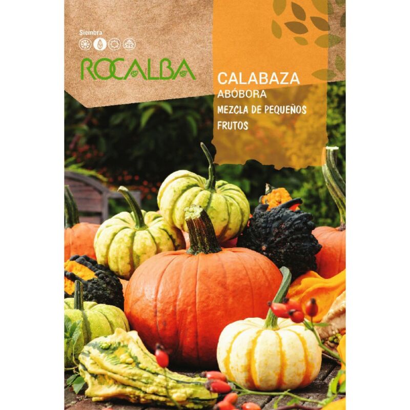 Rocalba Seed Pumpkin mElange petits fruits 100g