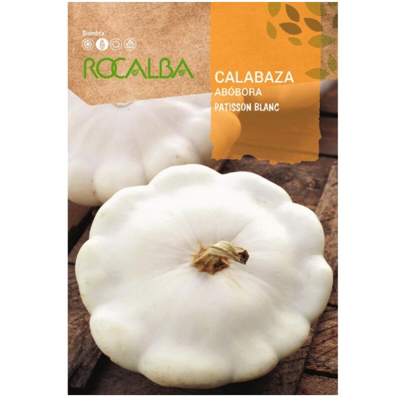 Rocalba Seed Seed Pump Patisson Blanc 100g