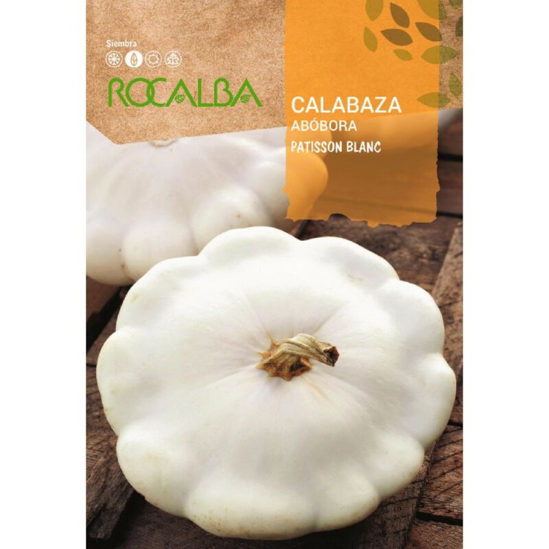 Rocalba - Seed Seed Pump Patisson Blanc 500G