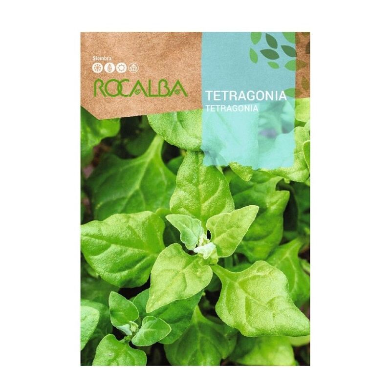 Seed Tetragonia 500GR - Rocalba