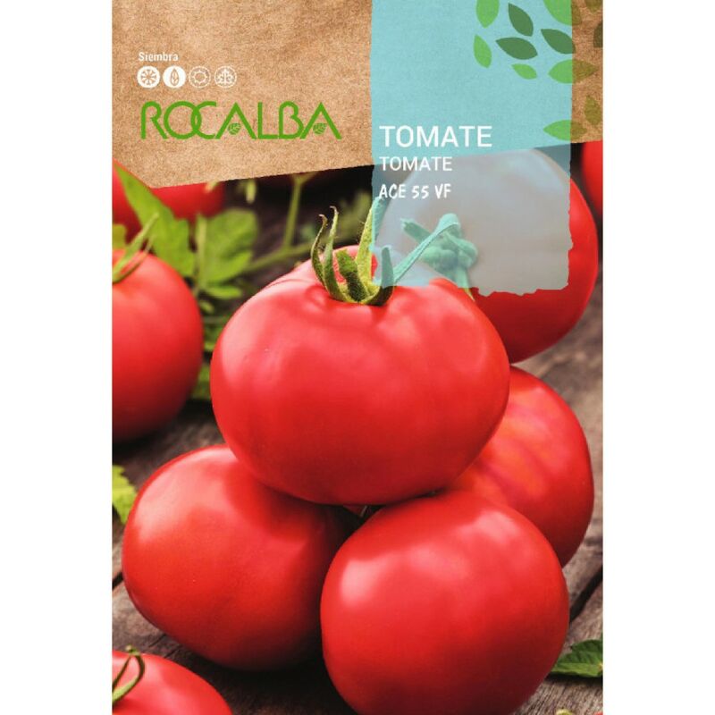Rocalba - Seed Tomato Ace 55 fv 100g