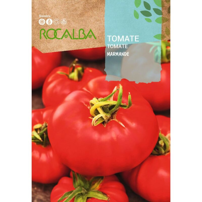 Rocalba - Seed Tomato Marmande 100g