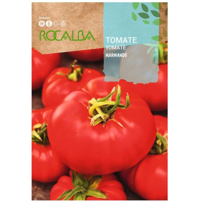 Rocalba - Seed Tomato Marmande 500g