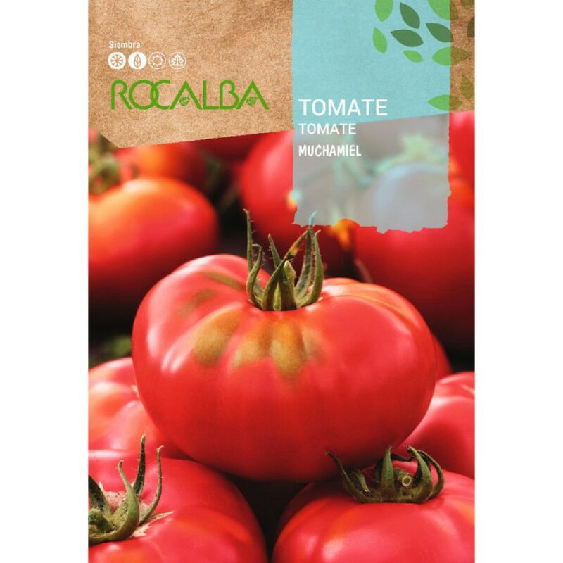 Seed Tomato Muchamiel 100g - Rocalba