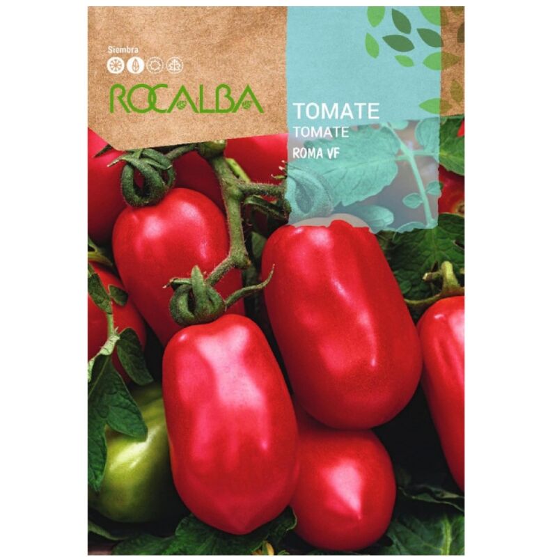 Rocalba - Seed Tomato Romate vf 100g