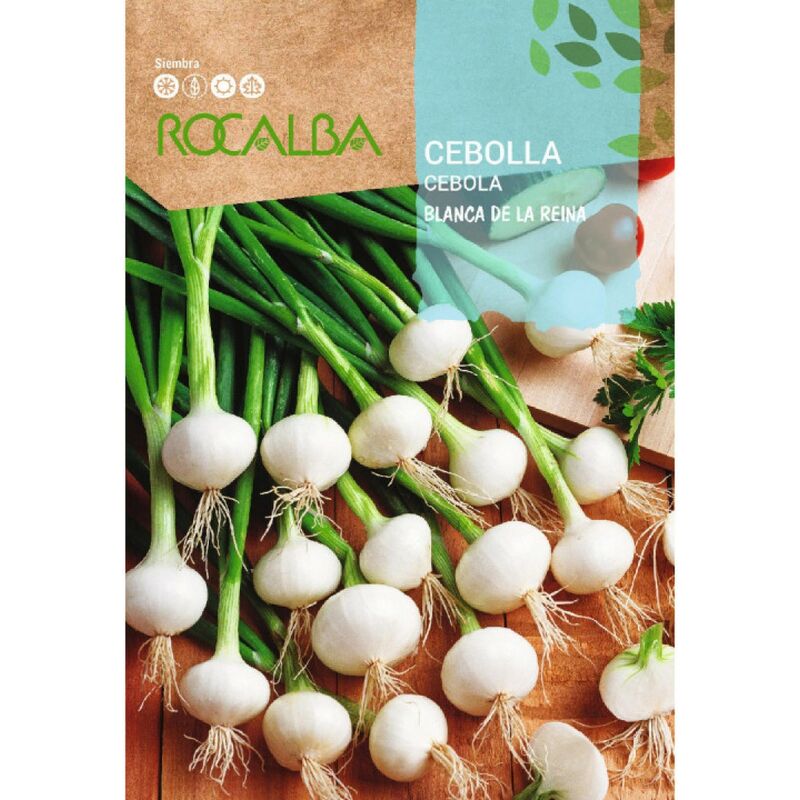 Rocalba - Seed White Onion Queen (ciboulette) 100g