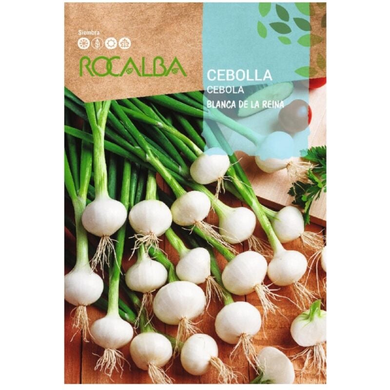 Rocalba - Seed White Onion Queen (ciboulette) 500g
