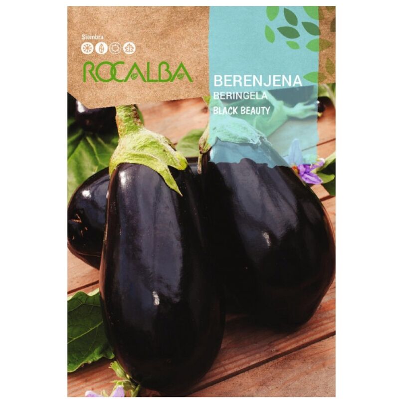 Rocalba - Seeds Berenjena Black Beauty 10 gr