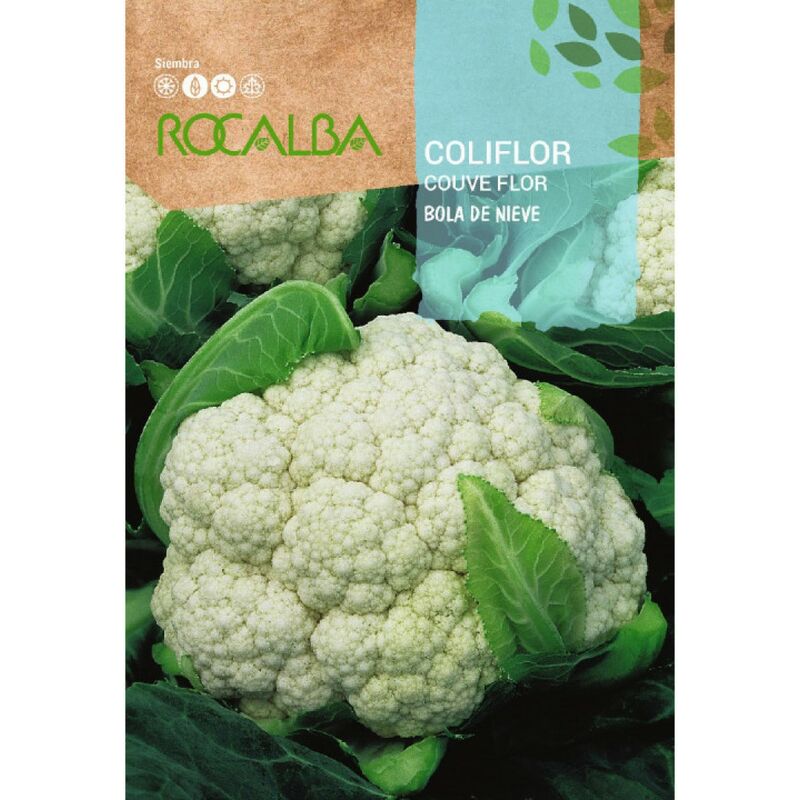 Rocalba - Seeds Cauliflor Snow Ball 10 gr, Pack 5x