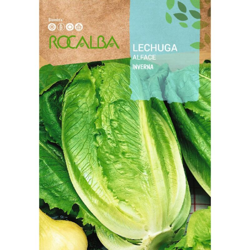 Rocalba - Seeds lew