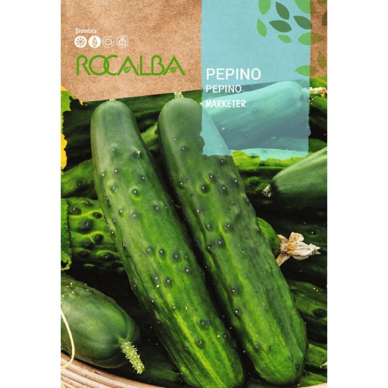 Seeds Marketer 500G - Rocalba