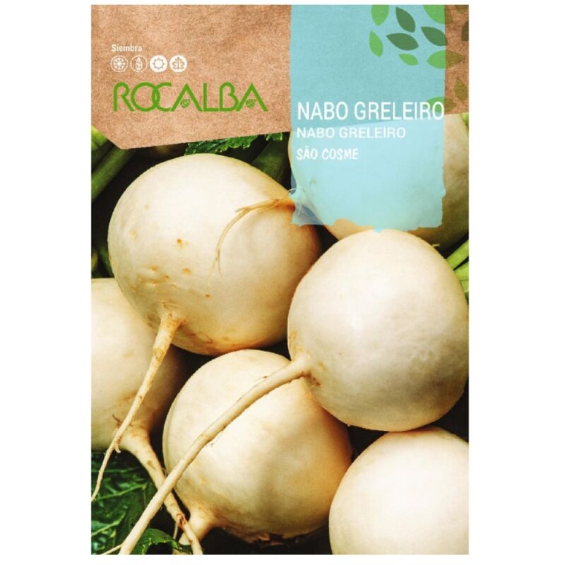 Seeds Nabo Greleiro Sao Cosme 25 gr, Pack 5x - Rocalba