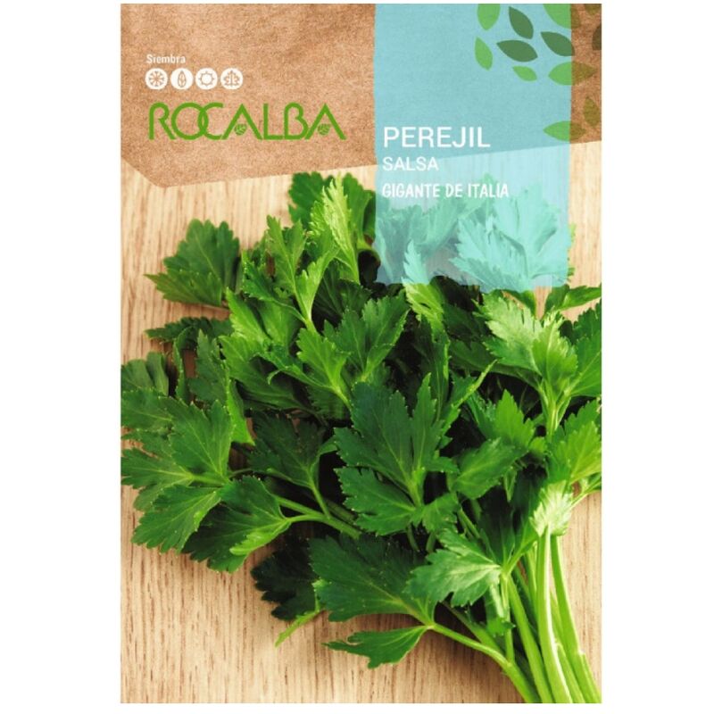 Rocalba - Seeds Perejil Giant d'Italie 25 gr, Pack 5x