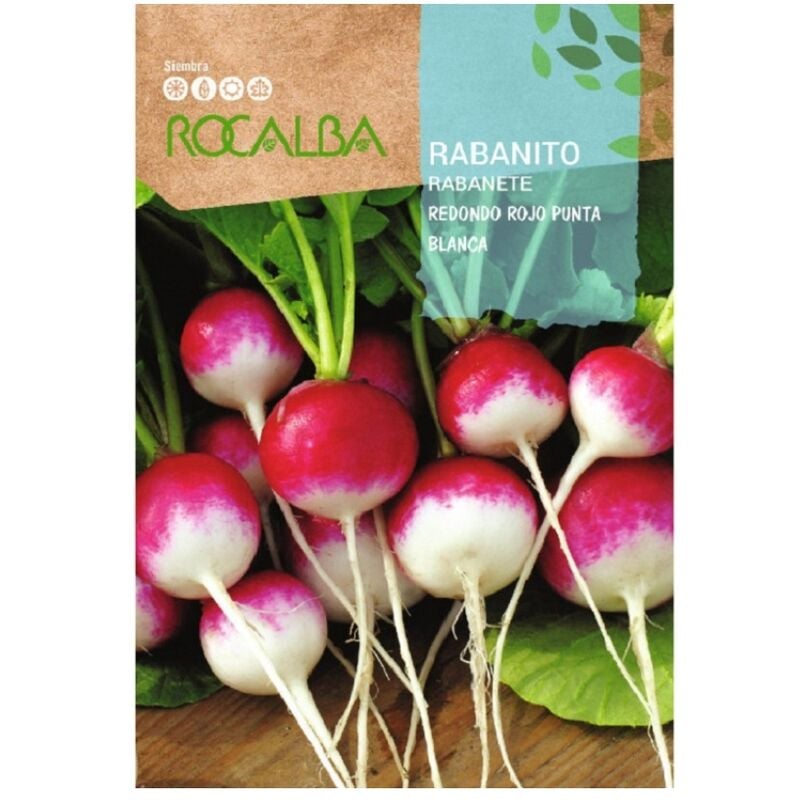 Rocalba - Seeds Redondo Redondo P.Blanca 25 gr, Pack 5x