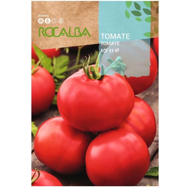 Rocalba - Seeds Tomato Ace 55 vf 10 gr, Pack 5x