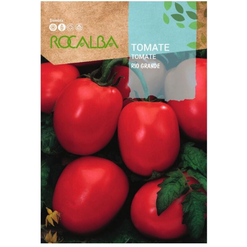 Seeds Tomato Rio Big 10 gr - Rocalba