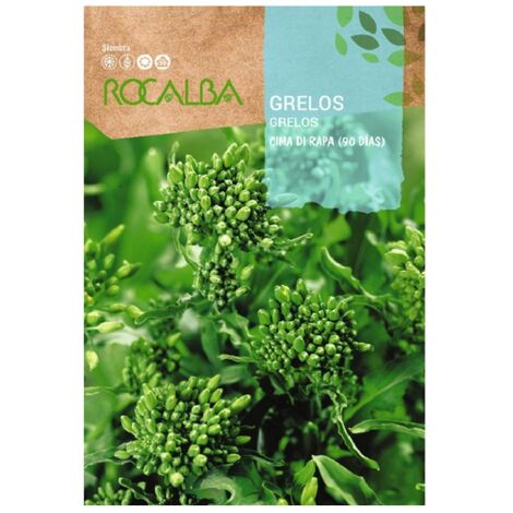 Rocalba Semilla Grelo Cima di Rapa 90 Dias 100g
