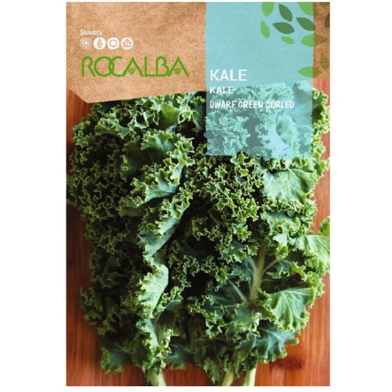 Semilla Kale nain vert 100g - Rocalba