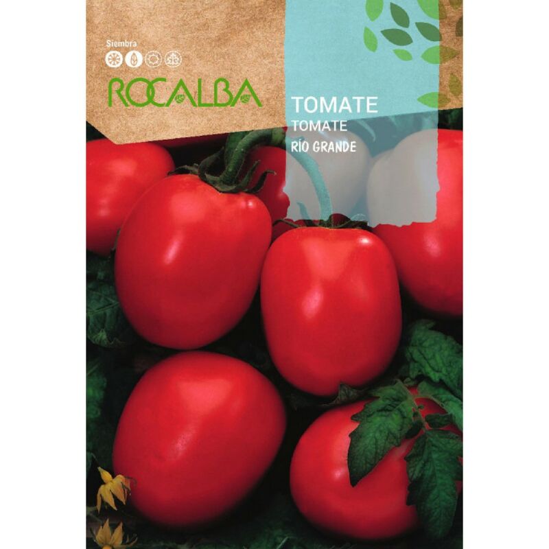 Rocalba - Tomate Rio Grande 1g