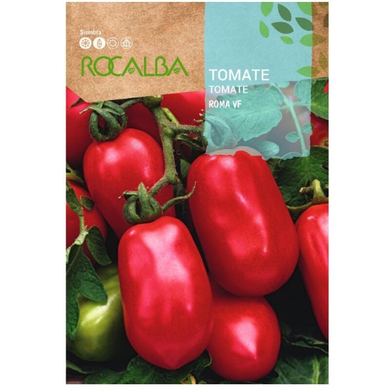 Rocalba - Tomato Roma vf 1G