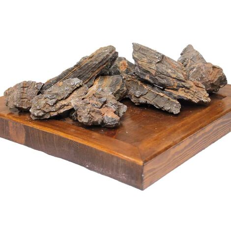 Roccia Pagoda MD AMTRA