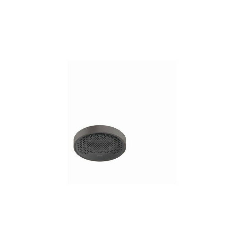 

Hansgrohe - rociador de ducha 250 1jet EcoSmart negro cromado cepillado