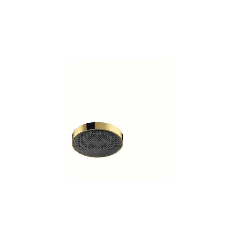 

Hansgrohe - rociador de ducha 250 1jet EcoSmart pulido dorado