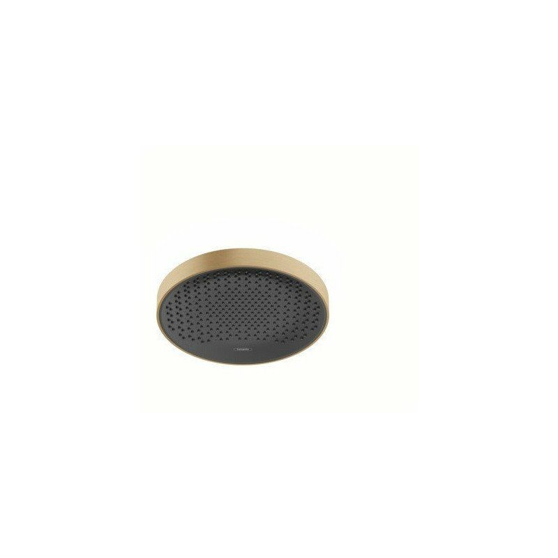 

Hansgrohe - rociador de ducha 360 1jet bronce cepillado
