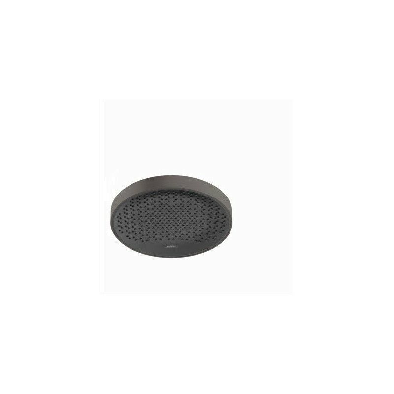 

Hansgrohe - rociador de ducha 360 1jet negro cromado cepillado