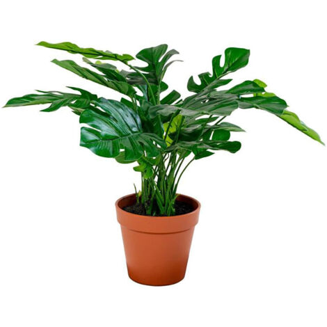 ROCKER - Monstera Décoratif Artificiel Hauteur 45cm