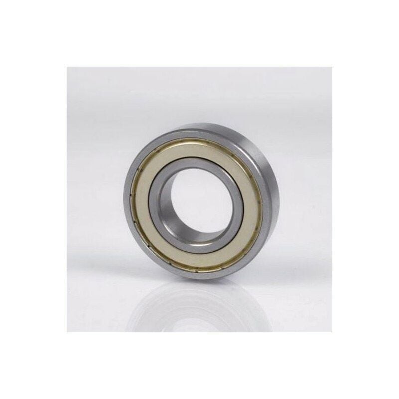 

Rodamiento rígido de bolas 61824 -2ZC3 16 mm DE 150 mm DI 120 mm - NKE