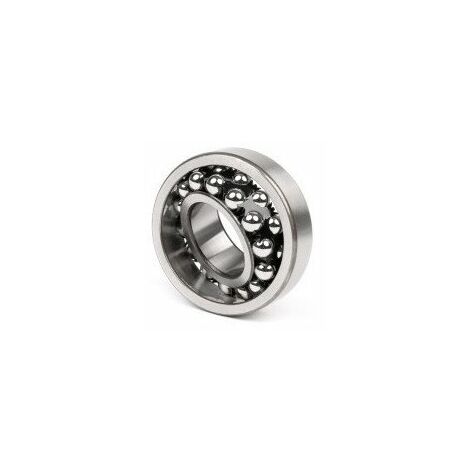 Rodamientos De Bolas En Bolas 1208 K 18 Mm Ext. 80Mm Int. 40Mm Nsk