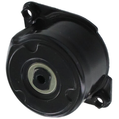 RODILLO DE CORREA ACANALADA SKF PARA BMW E46/E60/E91