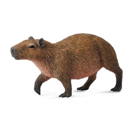 Roedor capibara