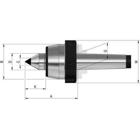 Röhm Puntos de centro giratorios 60°, Cono Morse 4, tamaño 108, con tuerca de extracción e inserto de metal duro - 221024