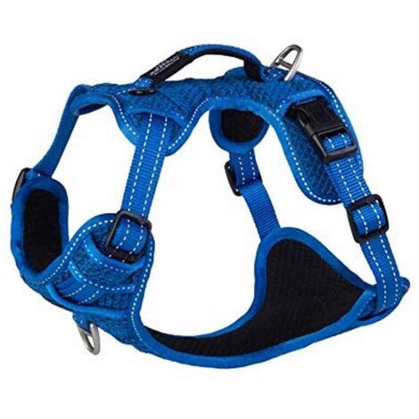 Rogz Utility Explore Harness Blue - sml - 810332