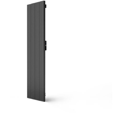 ROINTE - Radiateur PALAOS connecté 4 éléments 2000W Anthracite - PIB2000WF
