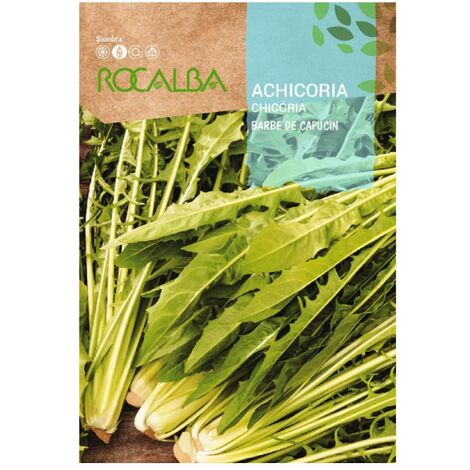 Rokalba Achicoria Barbe de Capucin 10G