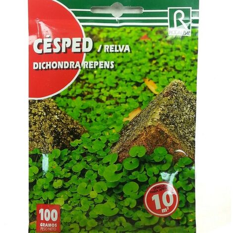 Rokalba C Spedendra Repeten Commit