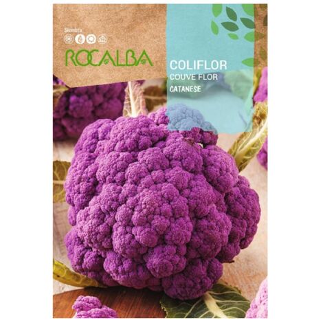 Rokalba Caciflor Catanese 500G