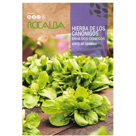 Rokalba -Gras der Canonigos -Taschen Samen 6g