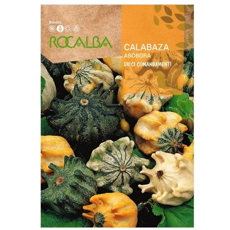 Rokalba Pebela Dievale Commandamenti 2g