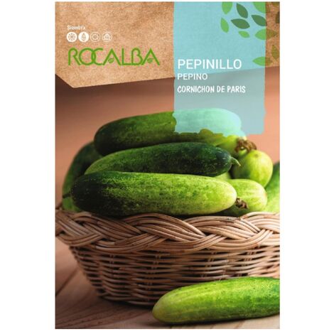 Rokalba -Samen Cornichon Pipinillo aus Paris 100G