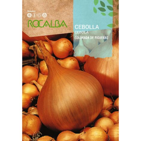 Rokalba Samen Zwiebel Colorada von Figueras 100g