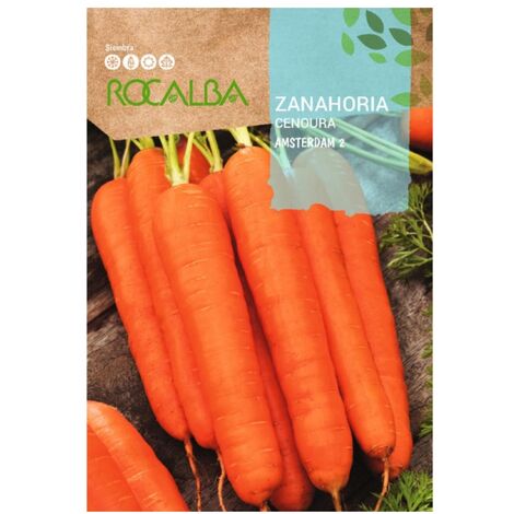 Rokalba Seed Carrot Amsterdam 2 100g
